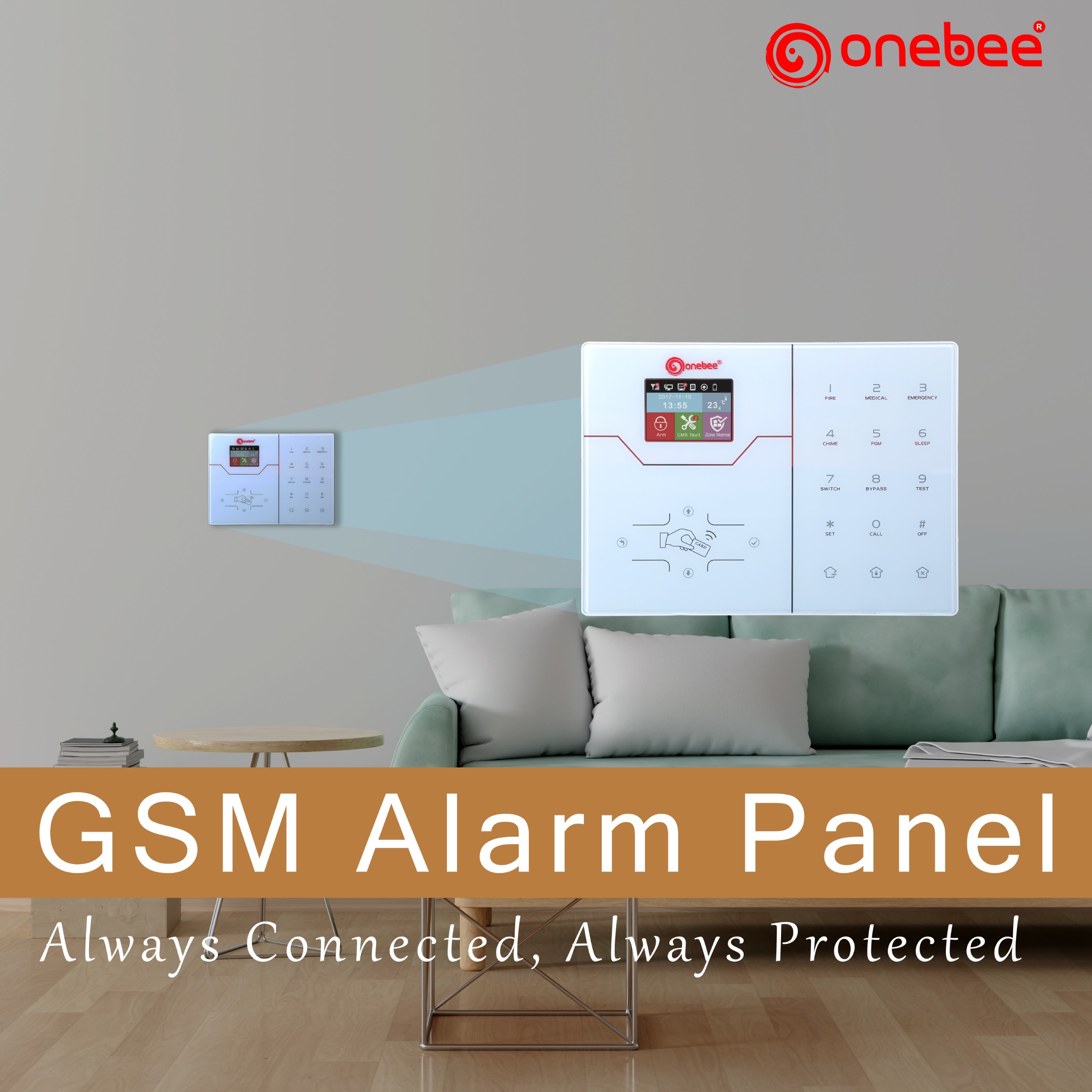 Alarm System services