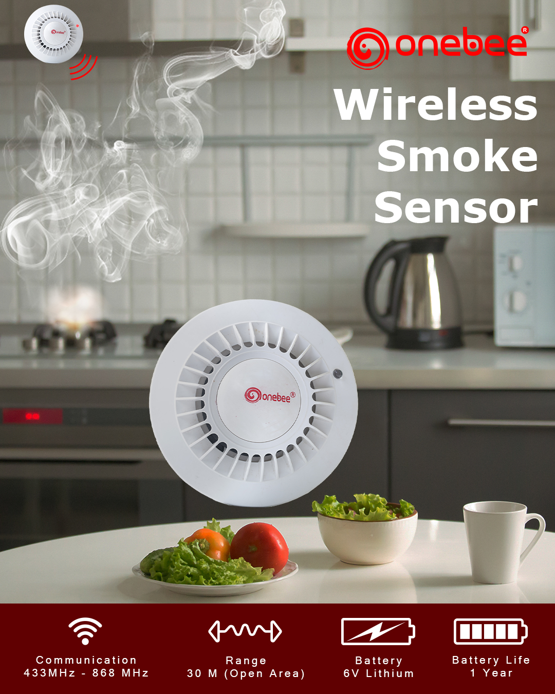 Alarm System services